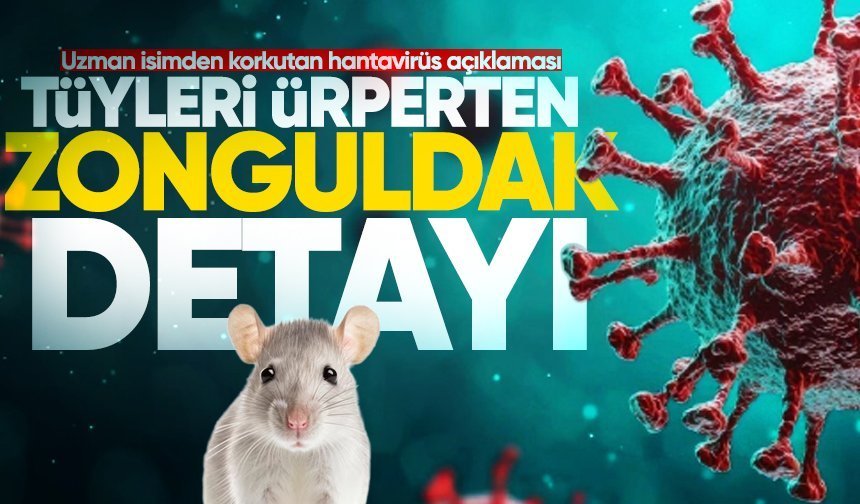 Uzman isimden korkutan hantavirüs açıklaması: Tüyleri ürperten Zonguldak detayı!