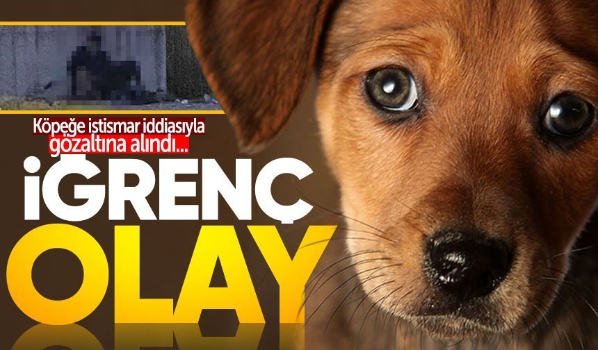 Zonguldak'ta akılalmaz olay: Köpeğe istismar iddiasıyla gözaltına alındı