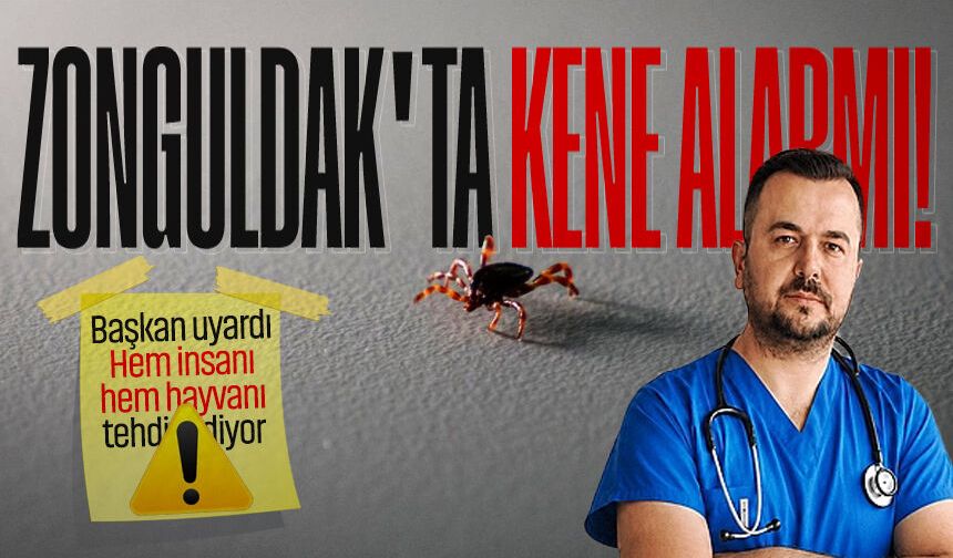 Zonguldak’ta kene alarmı: Başkan uyardı! Hem insanı hem hayvanı tehdit ediyor