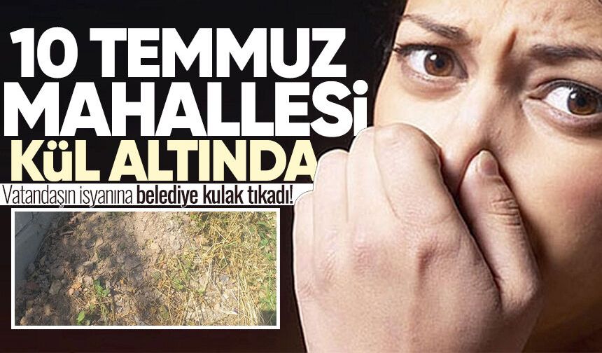 10 Temmuz Mahallesi kül altında: Vatandaşın isyanına belediye kulak tıkadı!