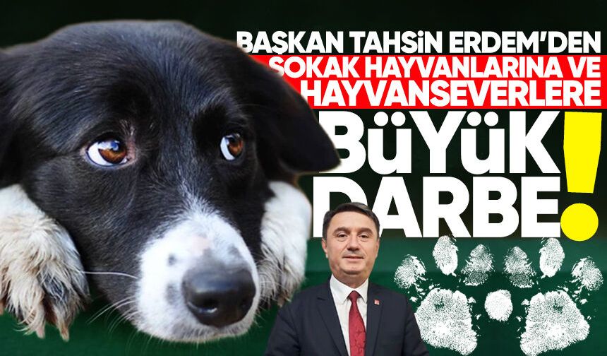 Başkan Erdem 17 yıldır hizmet veren Veteriner Sağlık Merkezi'ni kapatacak!