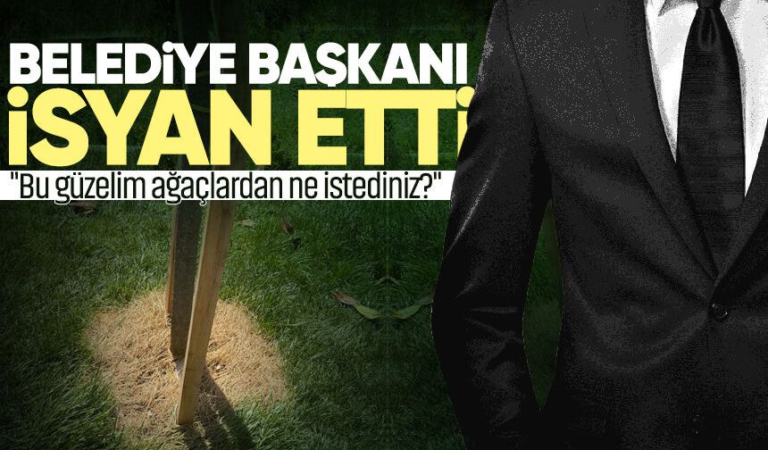 Belediye başkanı çileden çıktı: "Bu güzelim ağaçlardan ne istediniz?"