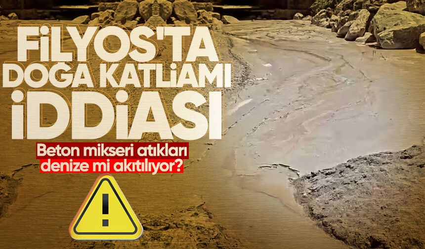 Filyos'ta doğa katliamı iddiası: Beton mikseri atıkları denize mi akıtılıyor?