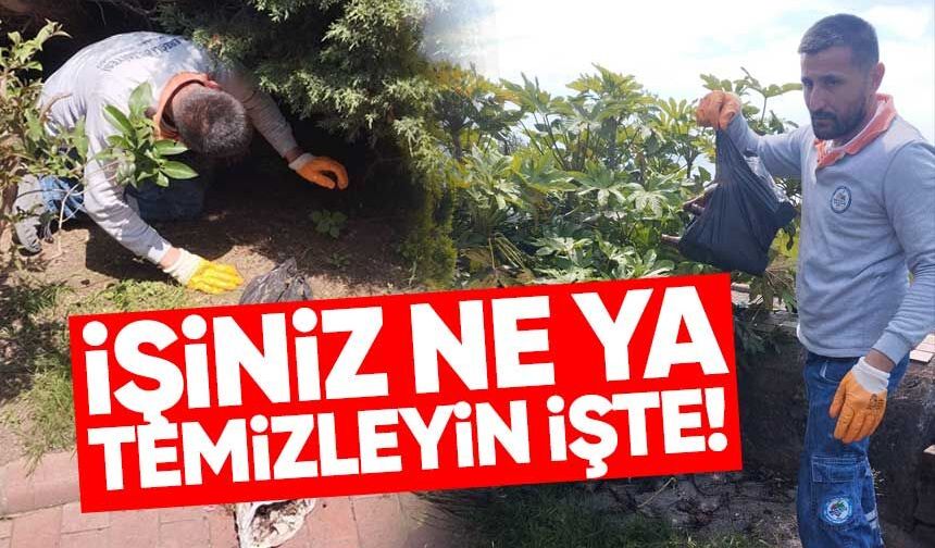 Temizlik Ekipleri İsyan Etti: Her Gün Aynı Manzara