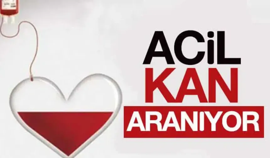 Kiraz ağacından düşen Aliye Yankın için acil kan aranıyor