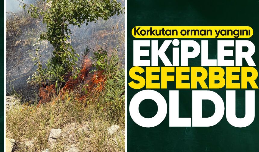 Korkutan orman yangını: Ekipler seferber oldu!