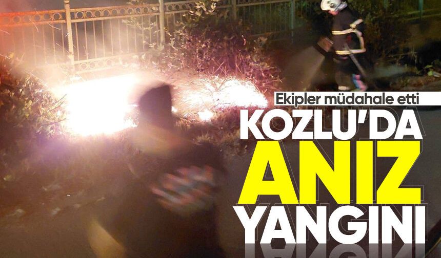 Kozlu'da anız yangını: İtfaiye ekipleri sevk edildi!