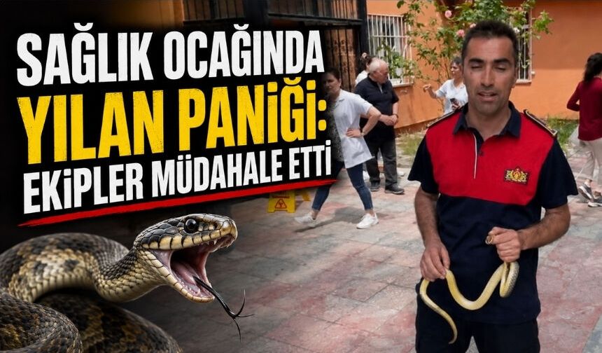 Alaplı’da sağlık ocağına giren yılan panik yarattı