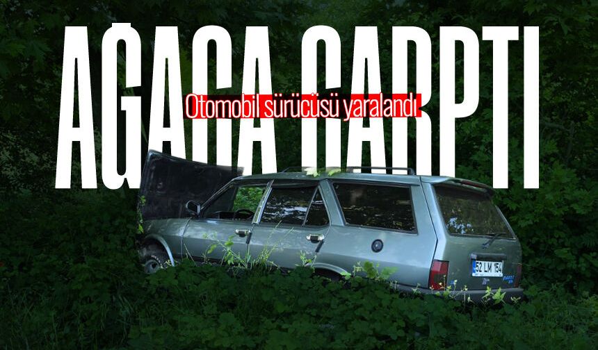 Yoldan çıkarak ağaca çarpan otomobilin sürücüsü yaralandı