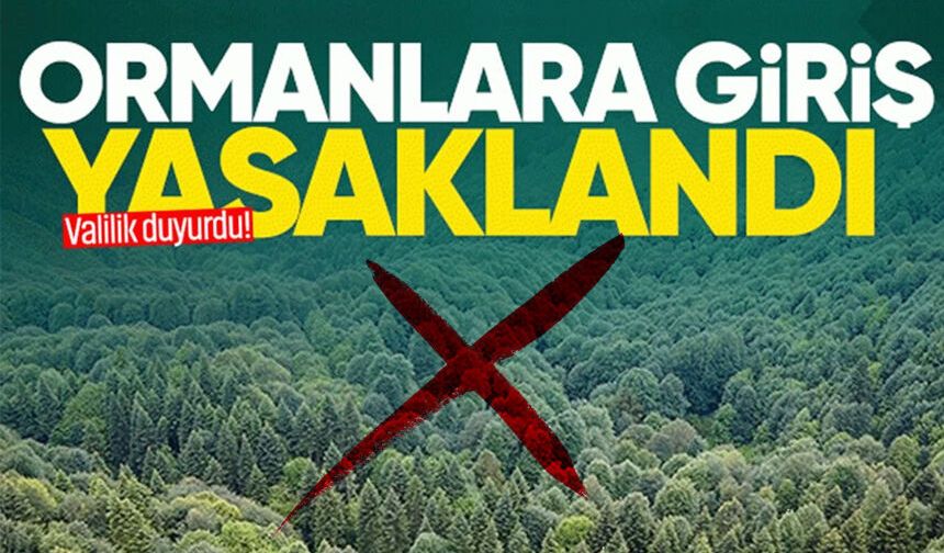 Zonguldak’ta ormanlara girişler o tarihe kadar yasaklandı
