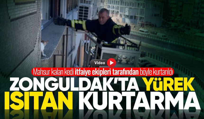 Zonguldak’ta yürek ısıtan kurtarma: Mahsur kalan kedi böyle kurtarıldı