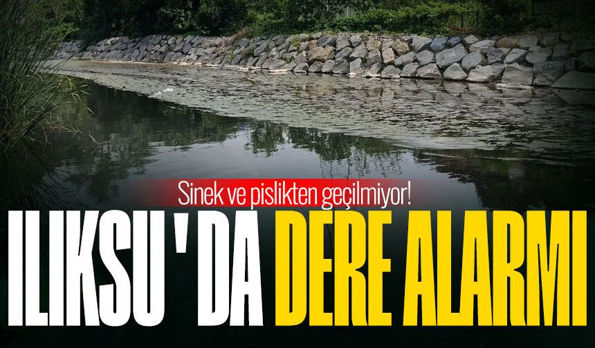 Ilıksu’da dere alarmı: Sinek ve pislikten geçilmiyor!