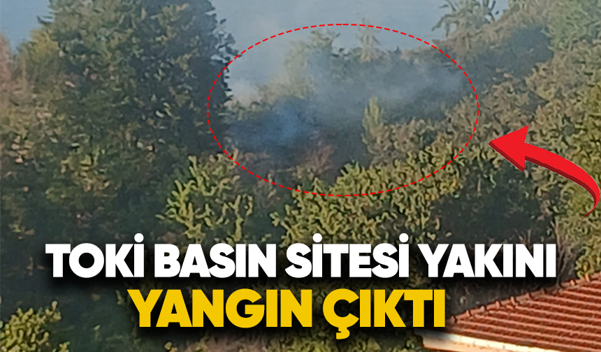 Toki Basın sitesi yakını yangın çıktı