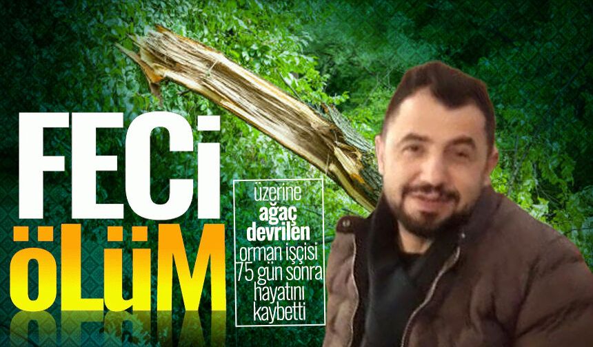 Üzerine ağaç devrilen orman işçisi 75 gün sonra hayatını kaybetti