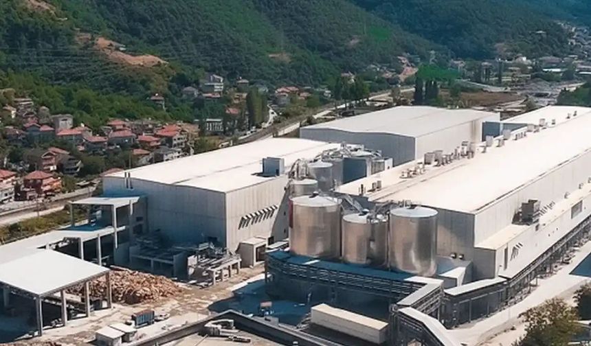 Zonguldak'ta 850 milyon dolarlık kağıt tesisi açıldı
