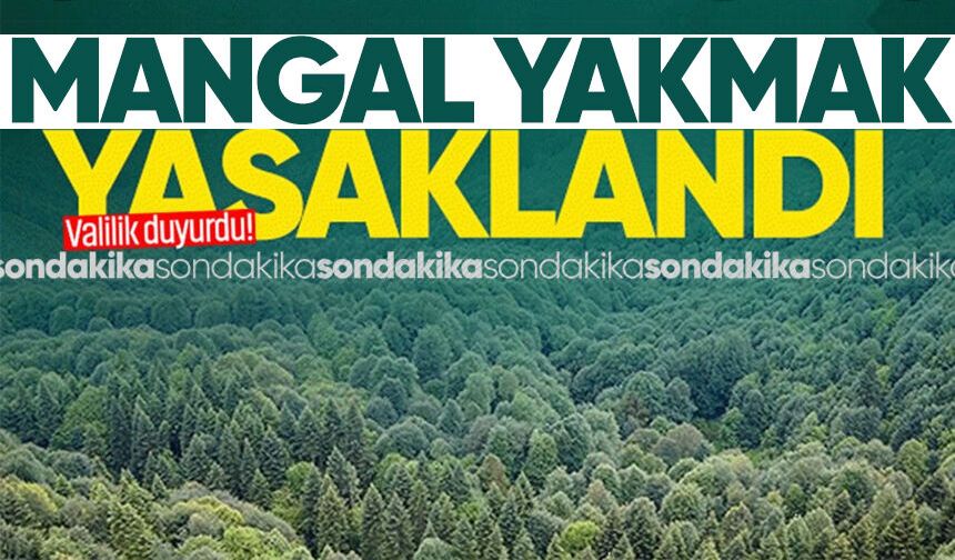 Zonguldak Valiliği duyurdu: Ormanlarda ateş, mangal yakmak yasaklandı!