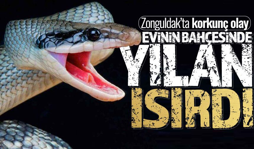 Zonguldak'ta korkunç olay: Evinin bahçesinde çalışırken yılan ısırdı