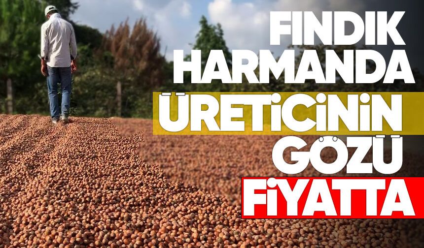 Fındık harmanda, üreticinin gözü fiyatta