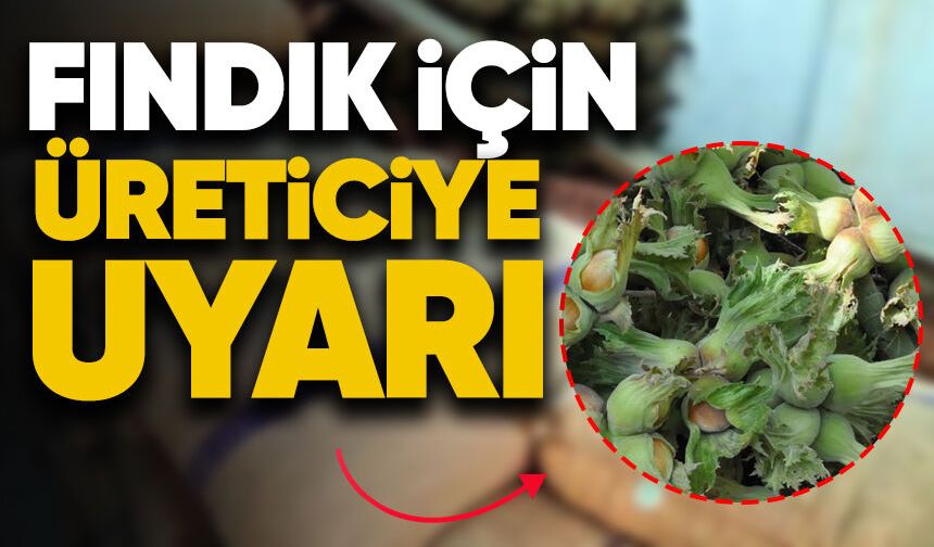 Fındık için üreticiye uyarı