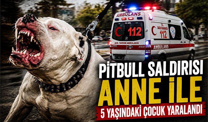 Pitbull saldırısı anne ile 5 yaşındaki çocuk yaralandı