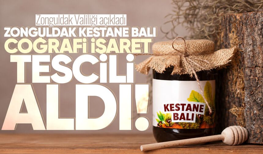 Zonguldak kestane balı artık coğrafi işaretli