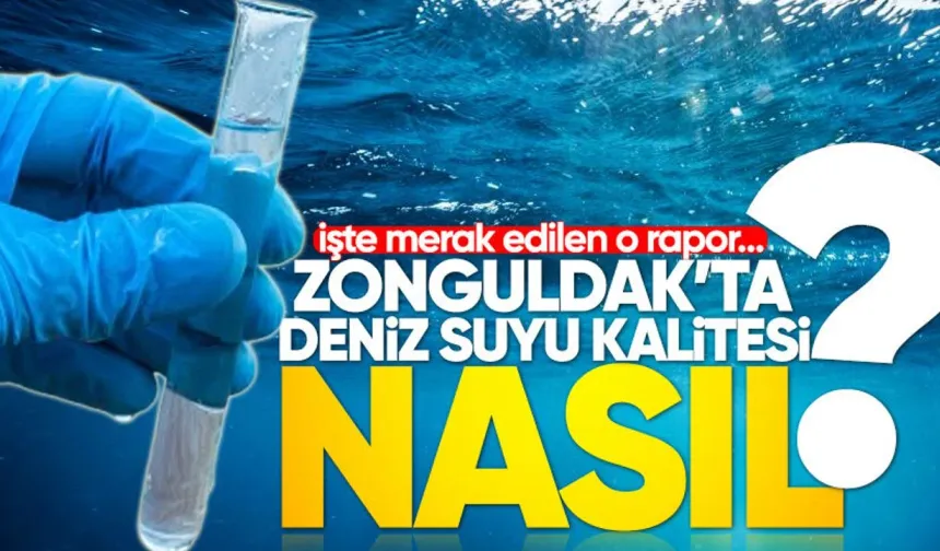 Zonguldak’ ta deniz suyu kalitesi nasıl? İşte merak edilen o rapor...
