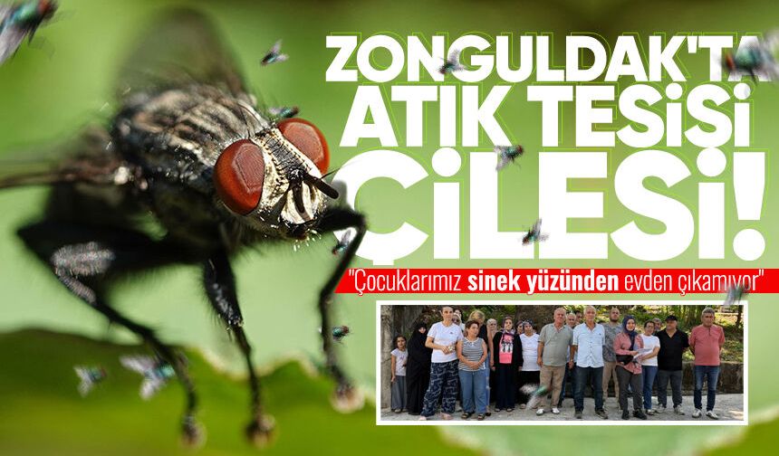 Zonguldak'ta atık tesisi çilesi: "Çocuklarımız sinek yüzünden evden çıkamıyor"