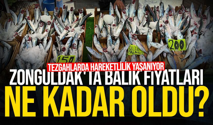 Zonguldak'ta balık fiyatları ne kadar oldu?