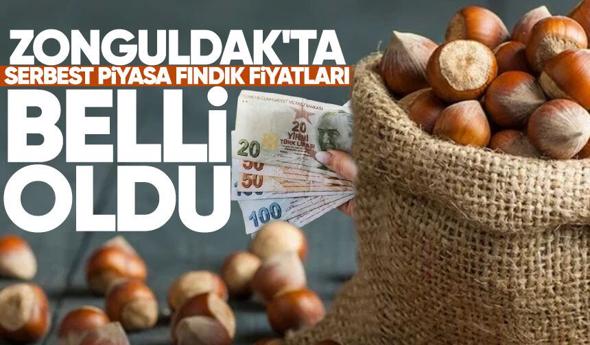 Zonguldak'ta serbest piyasa fındık fiyatları belli oldu