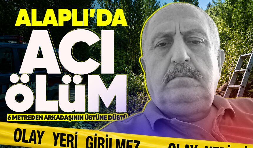 Ağaca çıkan Neşet Yılmaz, merdiveni tutan arkadaşının üzerine düştü: 1 ölü 1 ağır yaralı