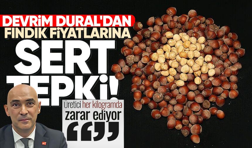 Devrim Dural'dan fındık fiyatlarına sert tepki: “Üretici her kilogramda zarar ediyor”