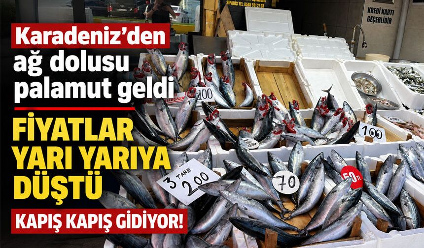 Karadeniz'den ağ dolusu palamut geldi, fiyatlar yarı yarıya düştü: Kapış kapış gidiyor!
