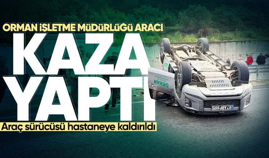 Orman İşletme Müdürlüğü aracı kaza yaptı: Araç sürücüsü hastaneye kaldırıldı