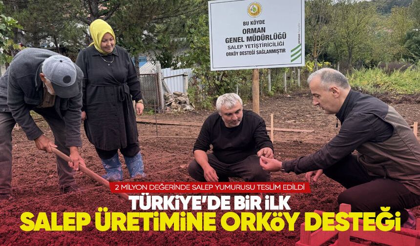 Türkiye’de bir ilk Devrek’te: Salep üretimine ORKÖY desteği