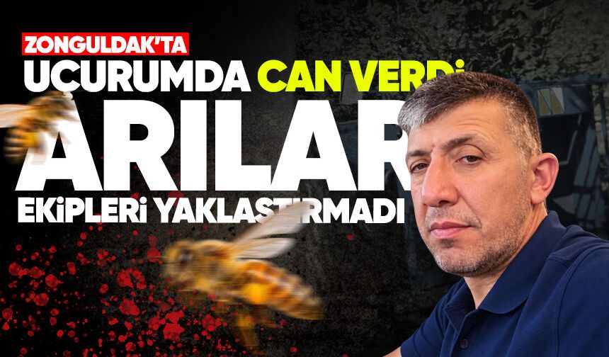 Uçurumdaki kazada can verdi: Arılar ekipleri yaklaştırmadı