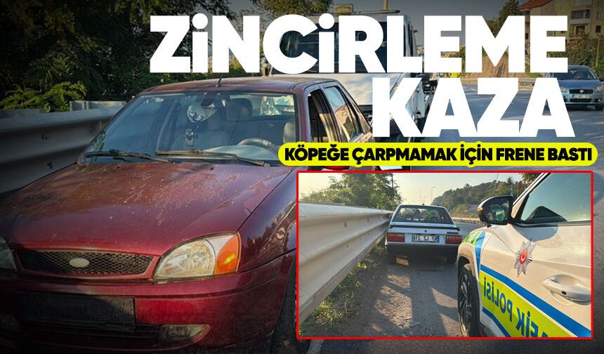 Zonguldak'ta köpeğe çarpmamak için fren yapan araca zincirleme kaza: 5 yaralı