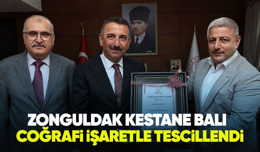 Zonguldak Kestane Balı coğrafi işaretle tescillendi