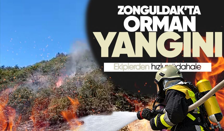 Zonguldak'ta orman yangını: Ekipler alevlerle mücadele ediyor