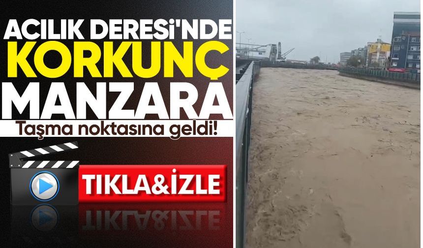 Acılık Deresi'nde korkunç manzara: Taşma noktasına geldi!