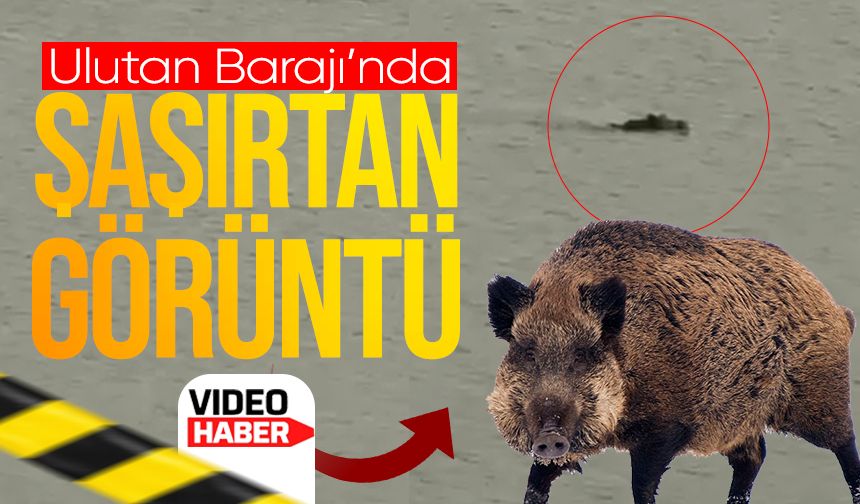 Zonguldak'ta Ulutan Barajı'nda şaşırtan görüntü