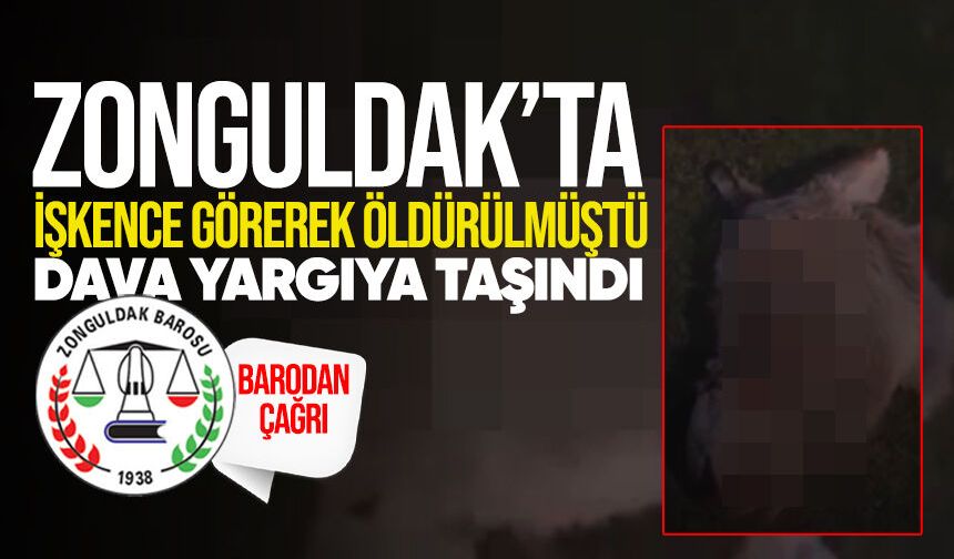 Zonguldak'ta işkence görerek öldürülen hayvan davası yargıya taşındı: Barodan duruşmaya katılım çağrısı