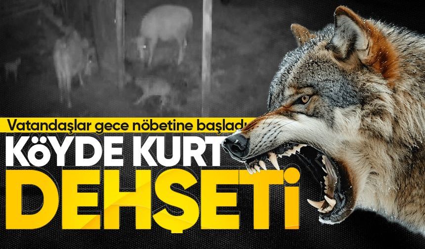 Köyde kurt d*hşeti: Vatandaşlar gece nöbetine başladı
