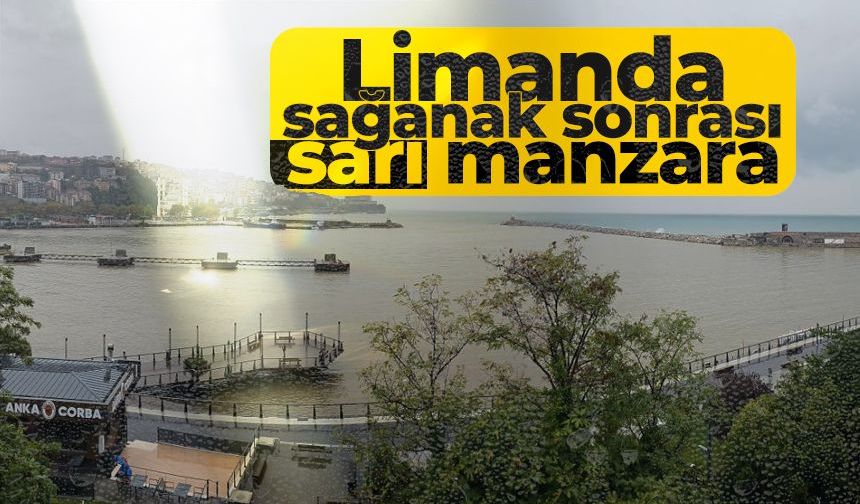 Limanda sağanak sonrası sarı manzara