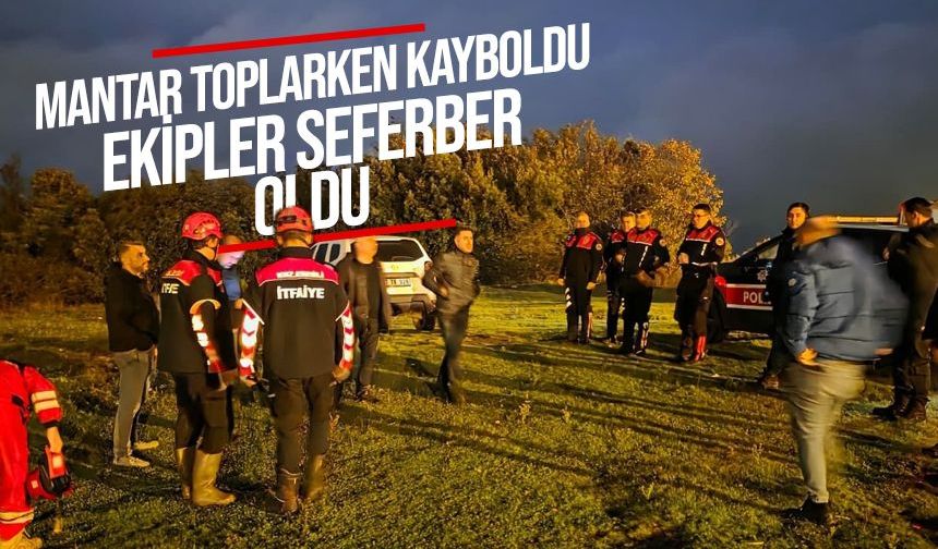 Mantar toplarken kayboldu, telefonu kapanınca ekipler seferber oldu