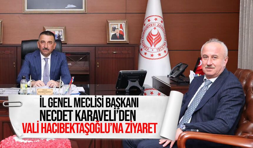 İl Genel Meclisi Başkanı Necdet Karaveli’den Vali Hacıbektaşoğlu’na ziyaret