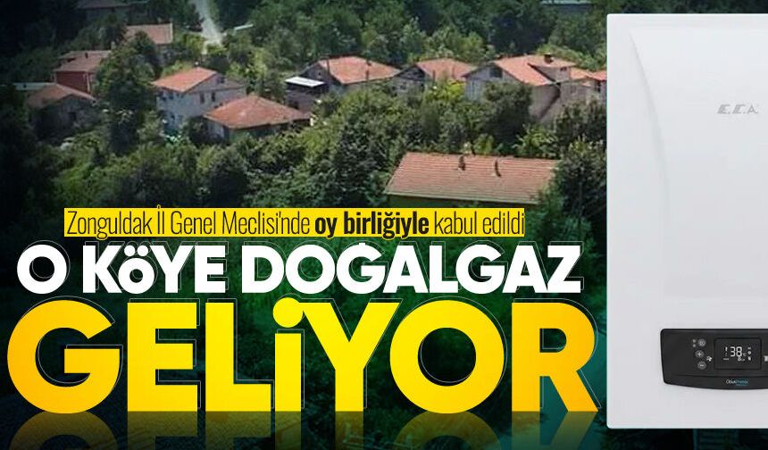 İl Genel Meclisi'nde karar verildi: O köye doğalgaz geliyor