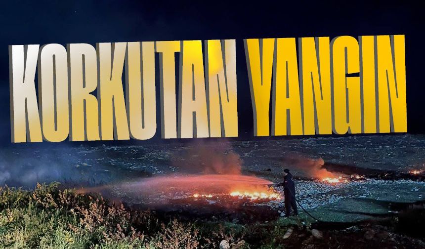 Sahilde korkutan yangın: Ekipler seferber oldu
