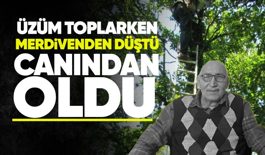 Üzüm toplarken merdivenden düştü: 77 yaşında hayatını kaybetti