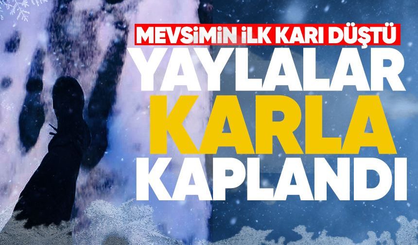 Yaylalar karla kaplandı: İlk kar heyecanı