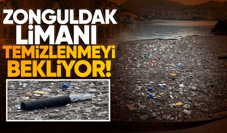 Zonguldak Limanı temizlenmeyi bekliyor!